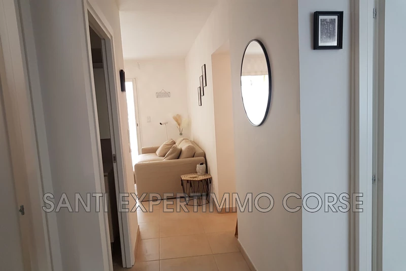 Vente appartement Linguizzetta  