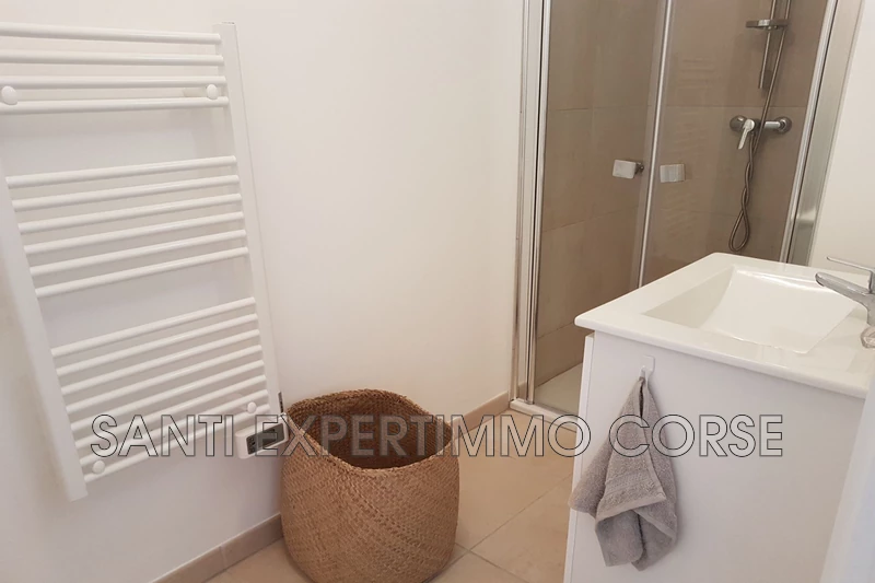 Vente appartement Linguizzetta  