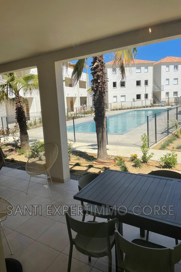 Vente appartement Linguizzetta  
