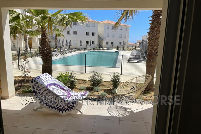 Vente appartement Linguizzetta  
