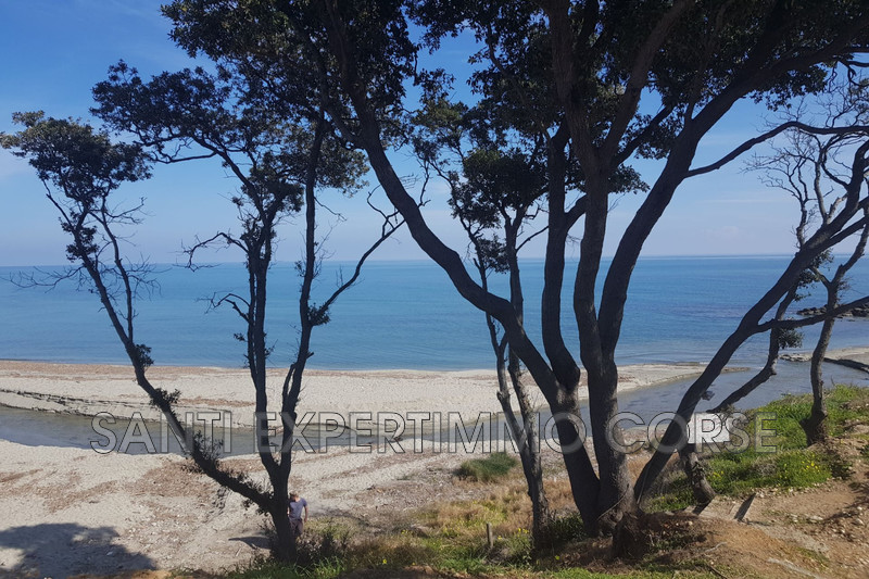 Vente appartement Linguizzetta  