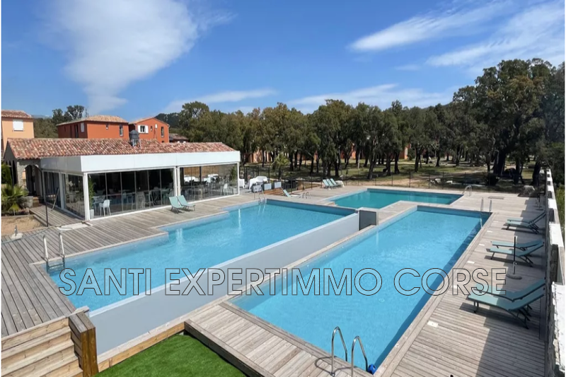 Vente appartement Lecci  