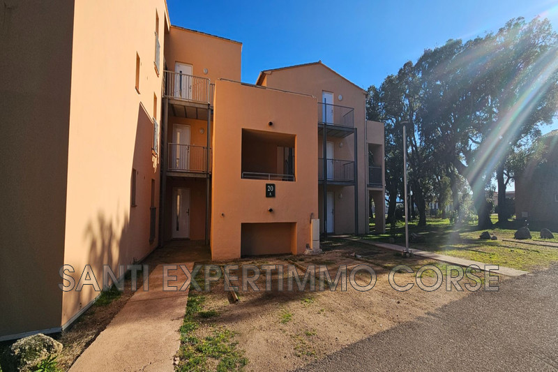 Vente appartement Lecci  