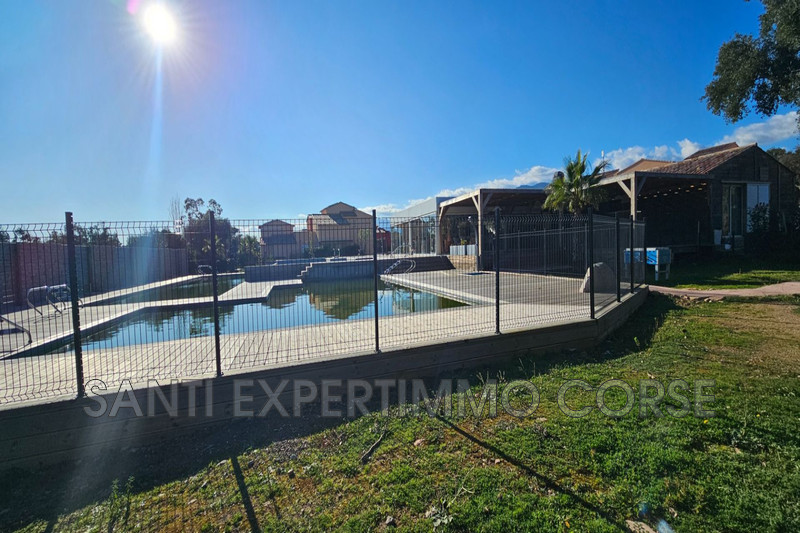 Vente appartement Lecci  