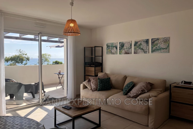 Vente appartement Linguizzetta  