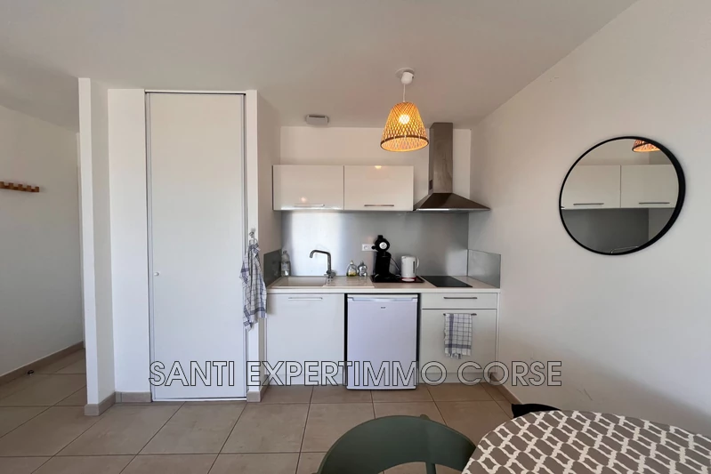 Vente appartement Linguizzetta  