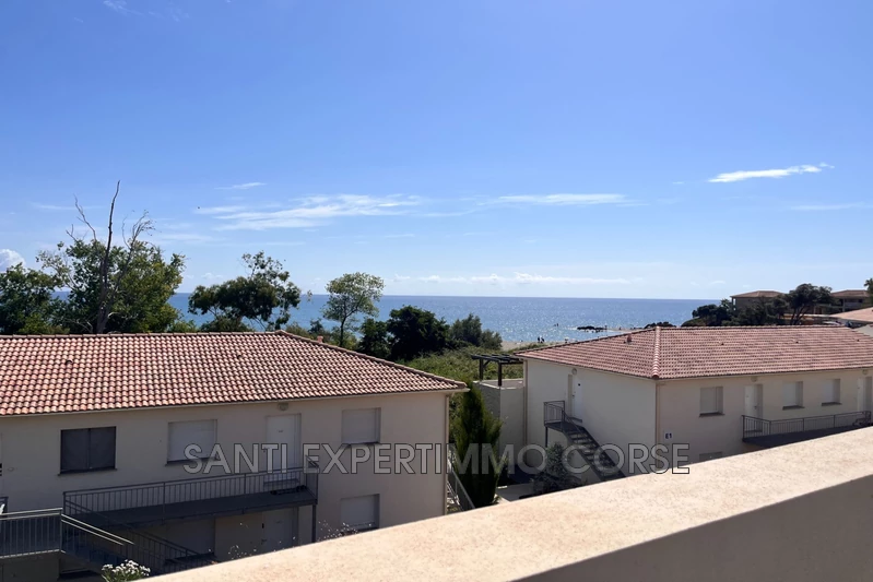 Vente appartement Linguizzetta  