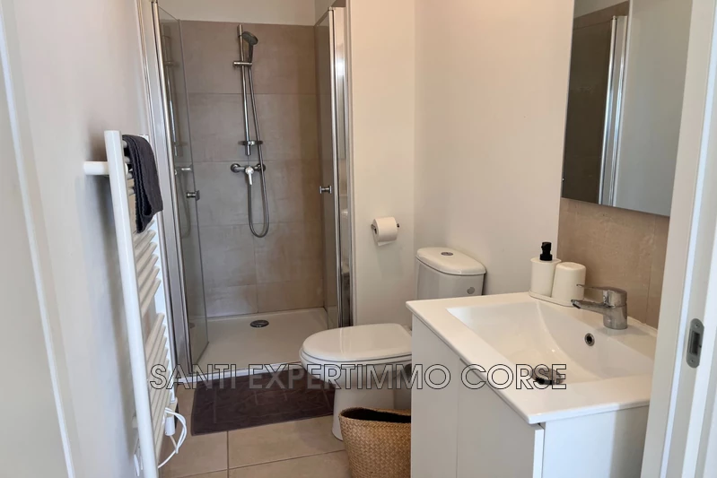 Vente appartement Linguizzetta  