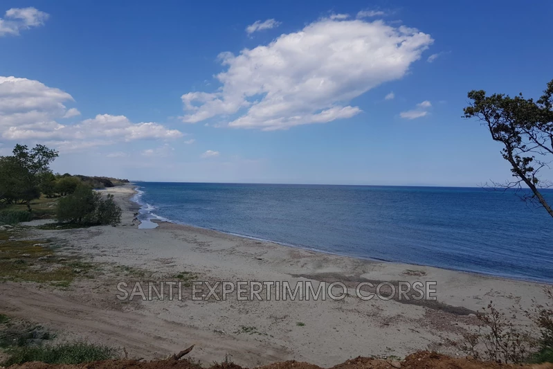 Vente appartement Linguizzetta  