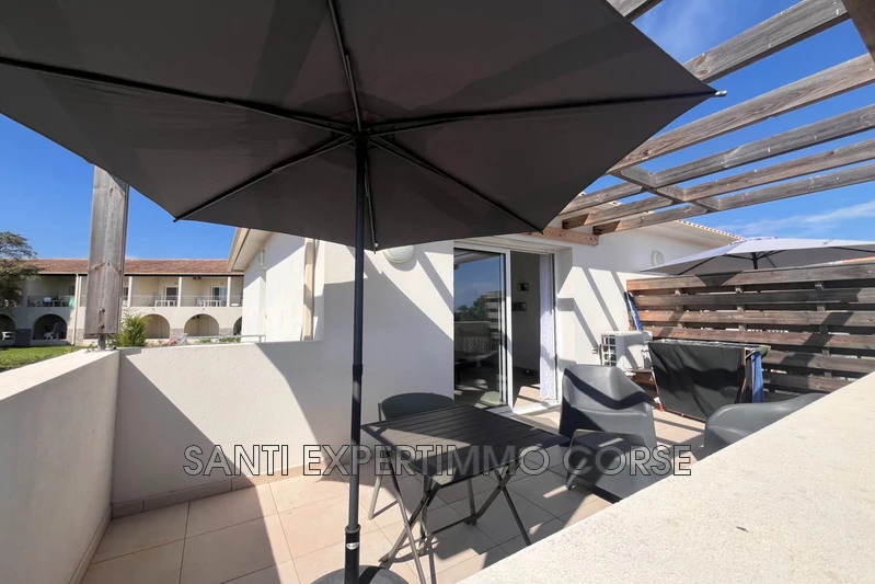 Vente appartement Linguizzetta  