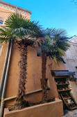 Location appartement meublé La Ciotat  
