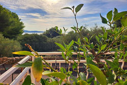 Vente appartement La Ciotat  