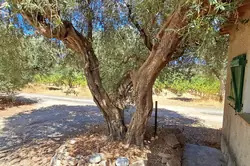 Vente appartement de caractère Le Castellet  