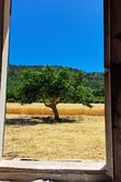 Vente terrain agricole Signes  