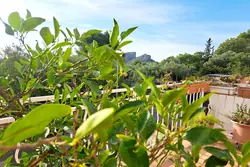 Vente maison La Ciotat  