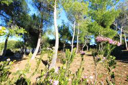 Vente maison Saint-Cyr-sur-Mer  