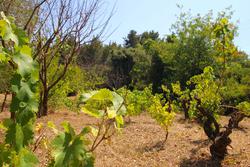 Vente maison La Cadière-d'Azur  