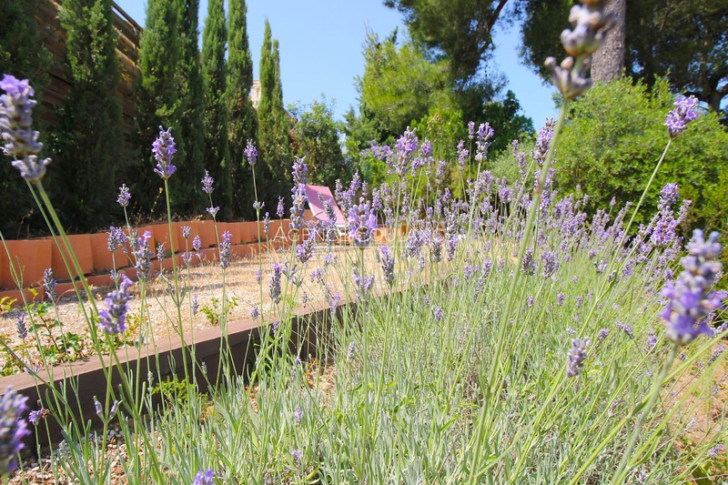 Vente maison Saint-Cyr-sur-Mer  