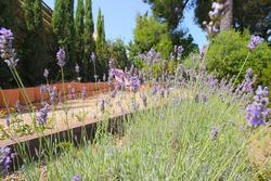 Vente maison Saint-Cyr-sur-Mer  