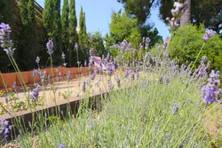 Vente maison Saint-Cyr-sur-Mer  