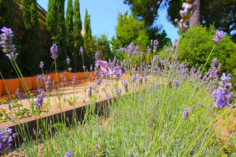 Vente maison Saint-Cyr-sur-Mer  