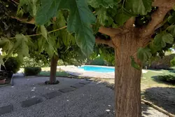 Vente maison La Ciotat  