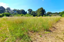 Vente terrain La Ciotat  