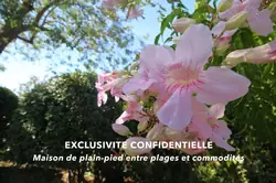 Vente maison Saint-Cyr-sur-Mer  