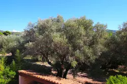 Vente maison Saint-Cyr-sur-Mer  