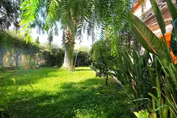 Vente maison Saint-Cyr-sur-Mer  