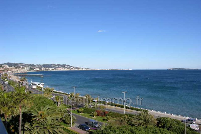 Apartment Cannes Bord de mer,  Rentals apartment  2 rooms   38&nbsp;m&sup2;