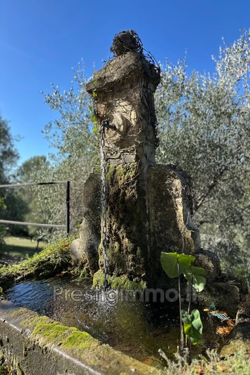 Location demeure de prestige Grasse  