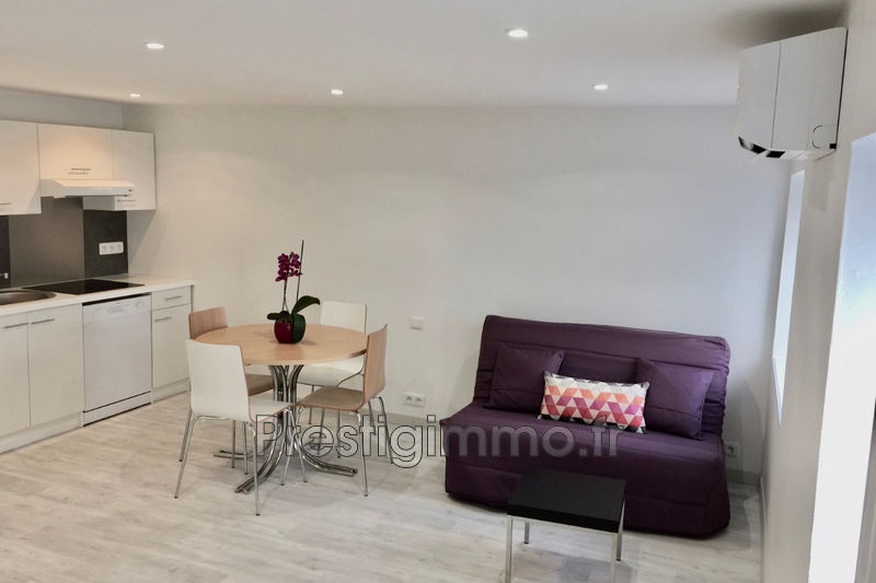 vente Apartment Cannes Downtown Apartment Cannes Centre-ville, Location saisonnière apartment 1 room 25 m²