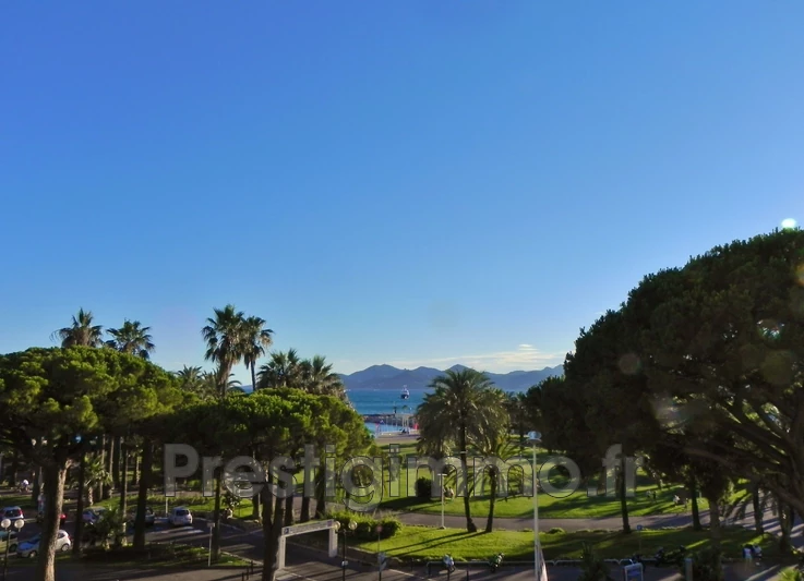 Location appartement de prestige Cannes Location appartement de prestige Cannes