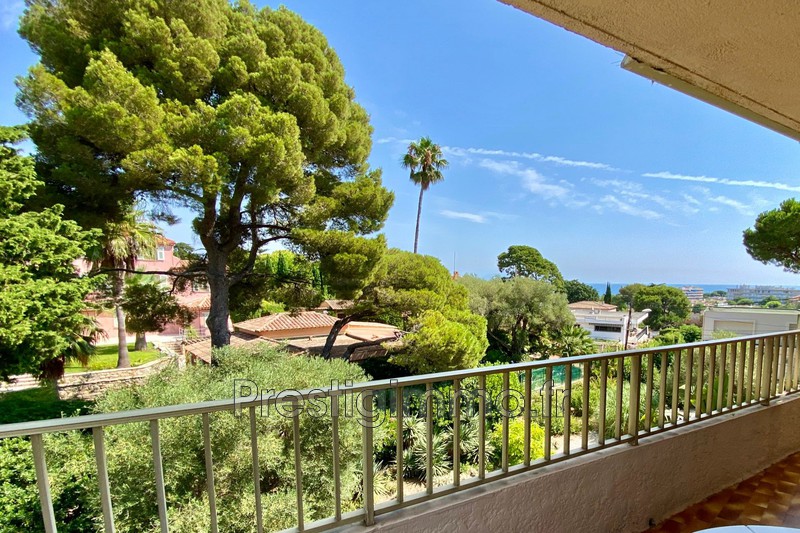 Appartement A Louer Juan Les Pins Prestigimmo