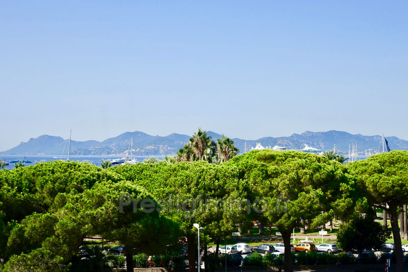 vente Appartement Cannes Proche plages Appartement Cannes Proche plages, achat appartement 3 pièces 87 m²