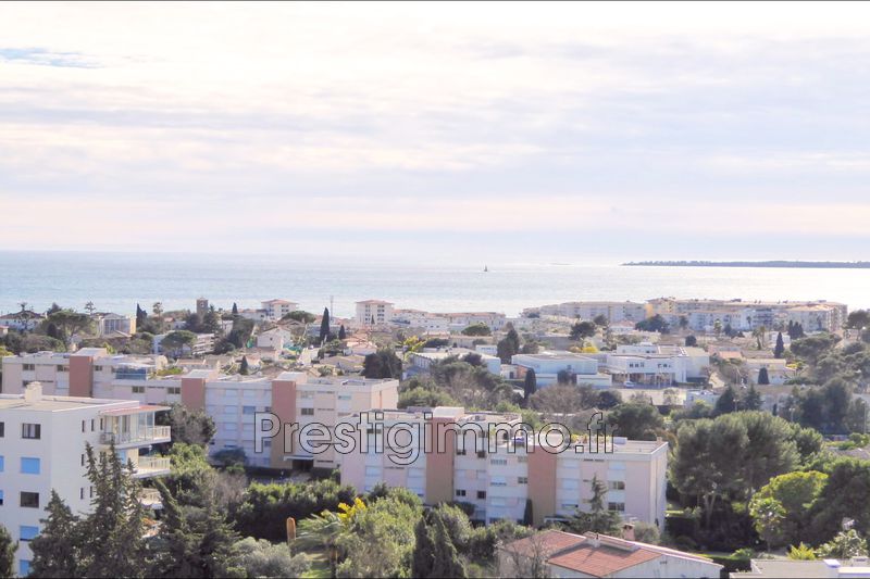 Photo Appartement Antibes Pierre delmasse, achat appartement 2 pièces 38 m²