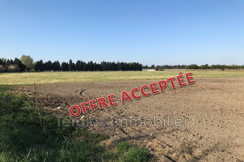 vente Terrain Eyragues Campagne Terrain Eyragues Campagne, achat terrain 24547 m²
