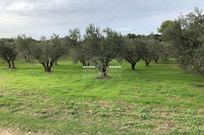 vente Terrain Aureille Aureille Terrain Aureille Aureille, achat terrain 4000 m²