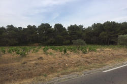 Photos Terrain non constructible à vendre Fontvieille 13990
