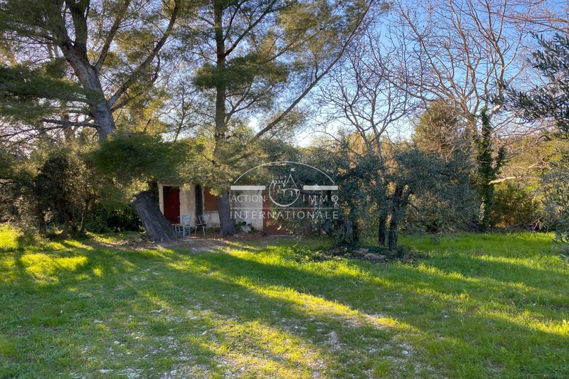 Photo Terrain Mouriès Alpilles, achat terrain 16124 m²