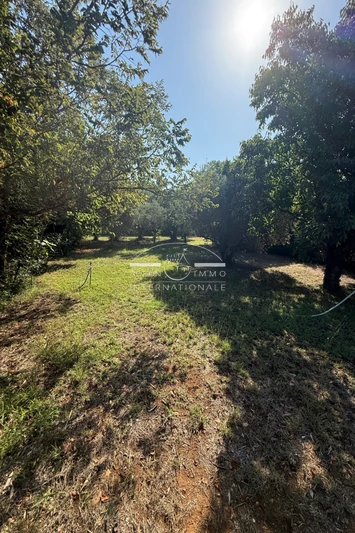 Vente villa Arles  