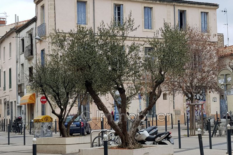 Vente Appartement Montpellier Boutonnet Ajc Immobilier