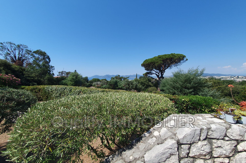 Location maison Cannes  