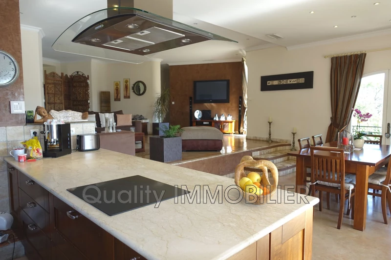 Vente villa auribeau sur siagne  