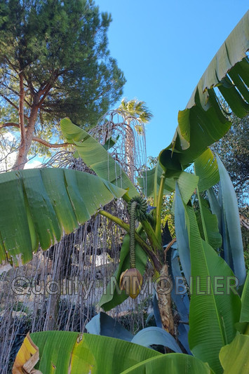 Vente villa Mouans-Sartoux  