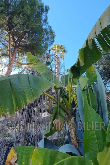 Vente villa Mouans-Sartoux  