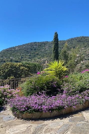 Vente villa provençale Le Lavandou  