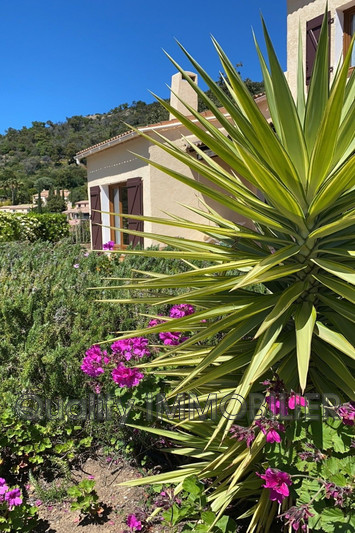 Vente villa provençale Le Lavandou  