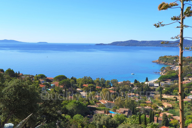 Vente villa provençale Le Lavandou  